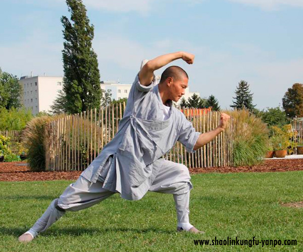 Shaolin Kung Fu Yan Po Shi 